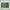 48754404983096|48754405015864