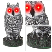 Thumbnail for Owl Decoy With Sound