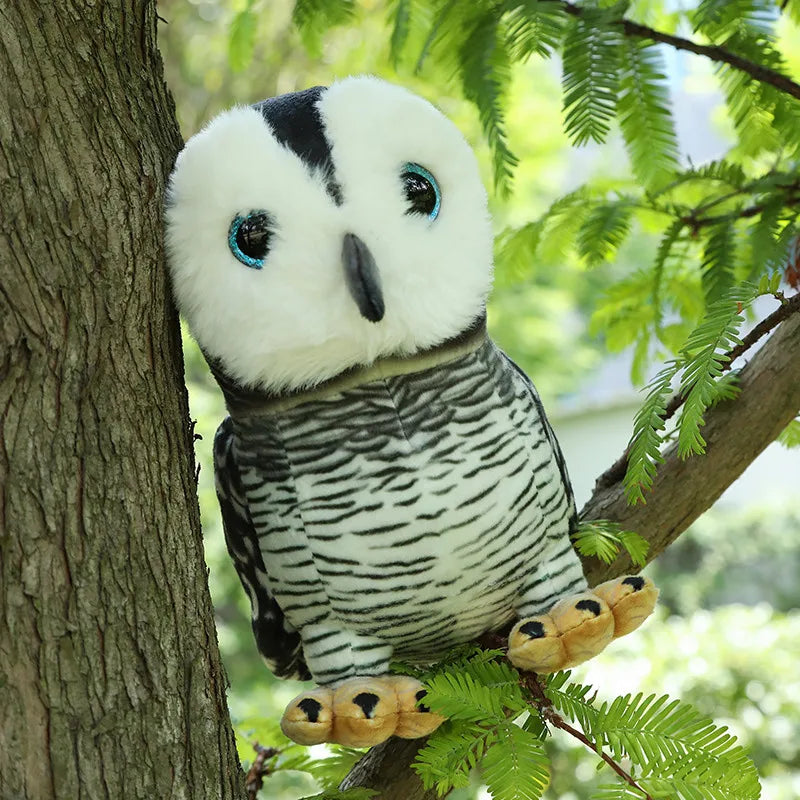 Barn Owl Plush