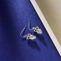 Thumbnail for Owl Crystal Earrings